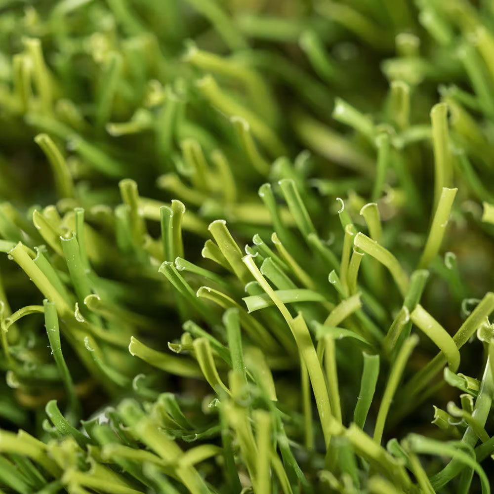 Césped Artificial Master 35 mm altura | Marca Realturf | Detalle Fibra