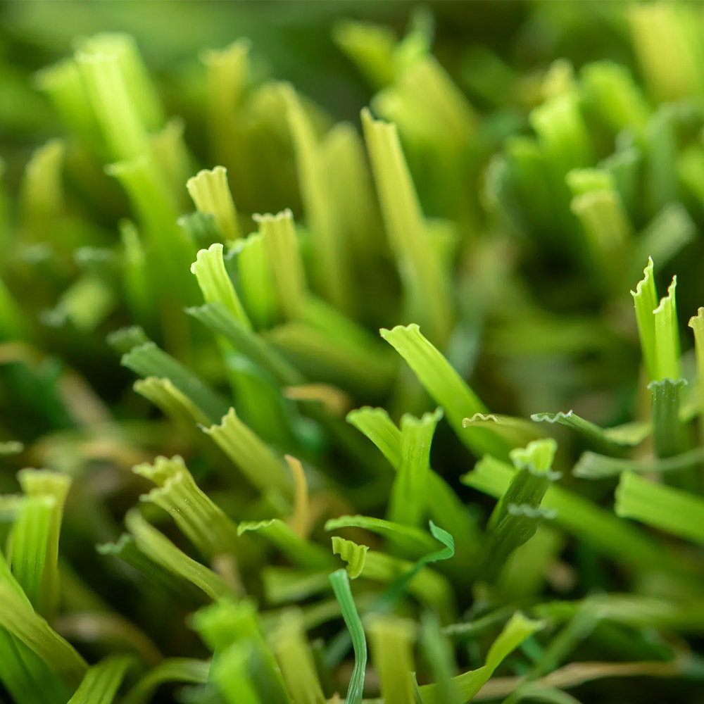 Césped Artificial Prado 50 mm altura | Marca Realturf | Detalle Fibra